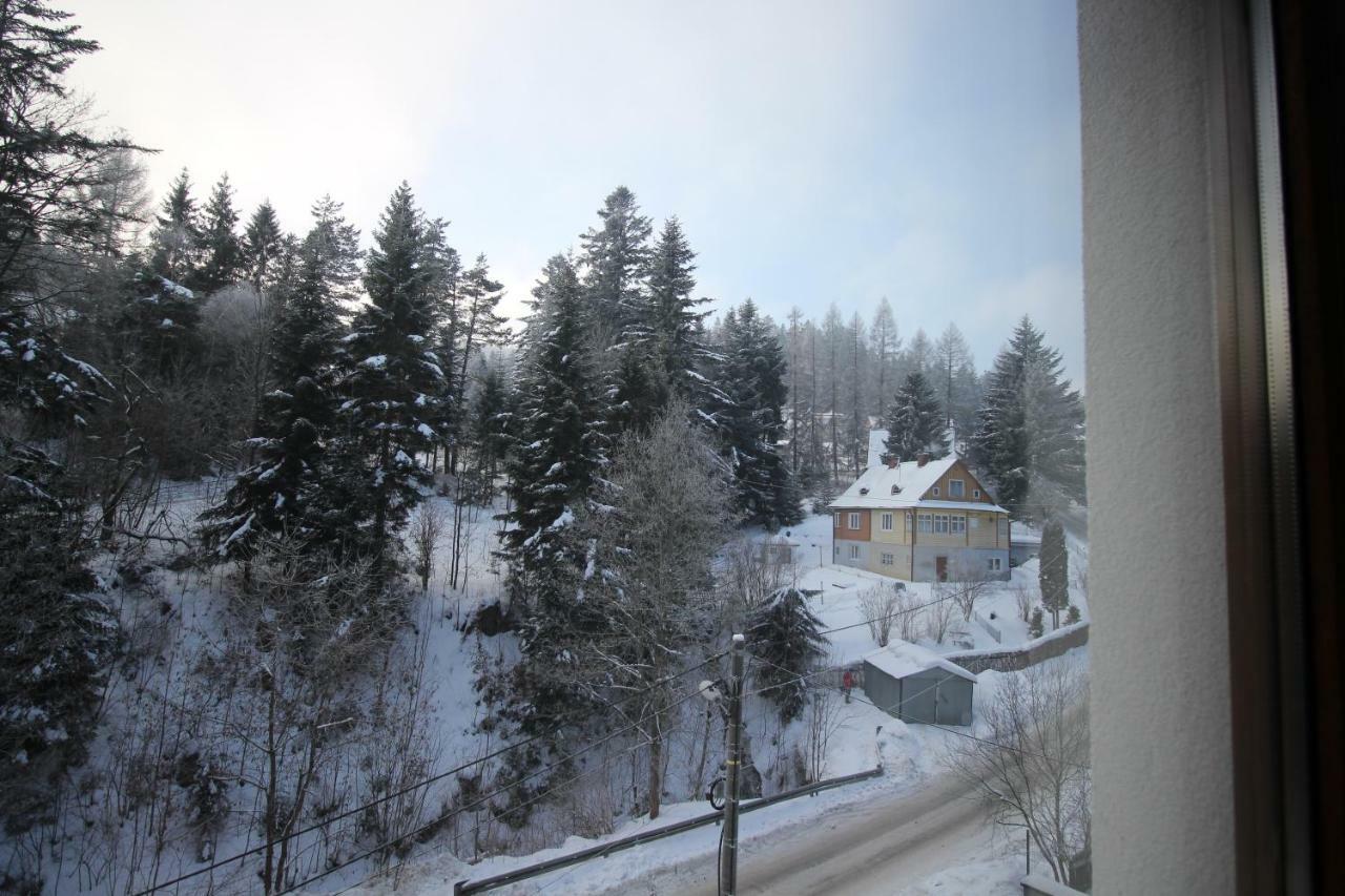 Apartament Zielona Krynica Zdroj Bagian luar foto